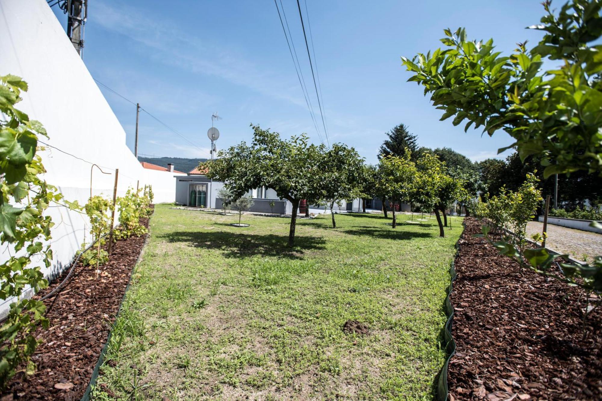 Quinta Do Pomar Pomar Farm Villa Briteiros Ngoại thất bức ảnh