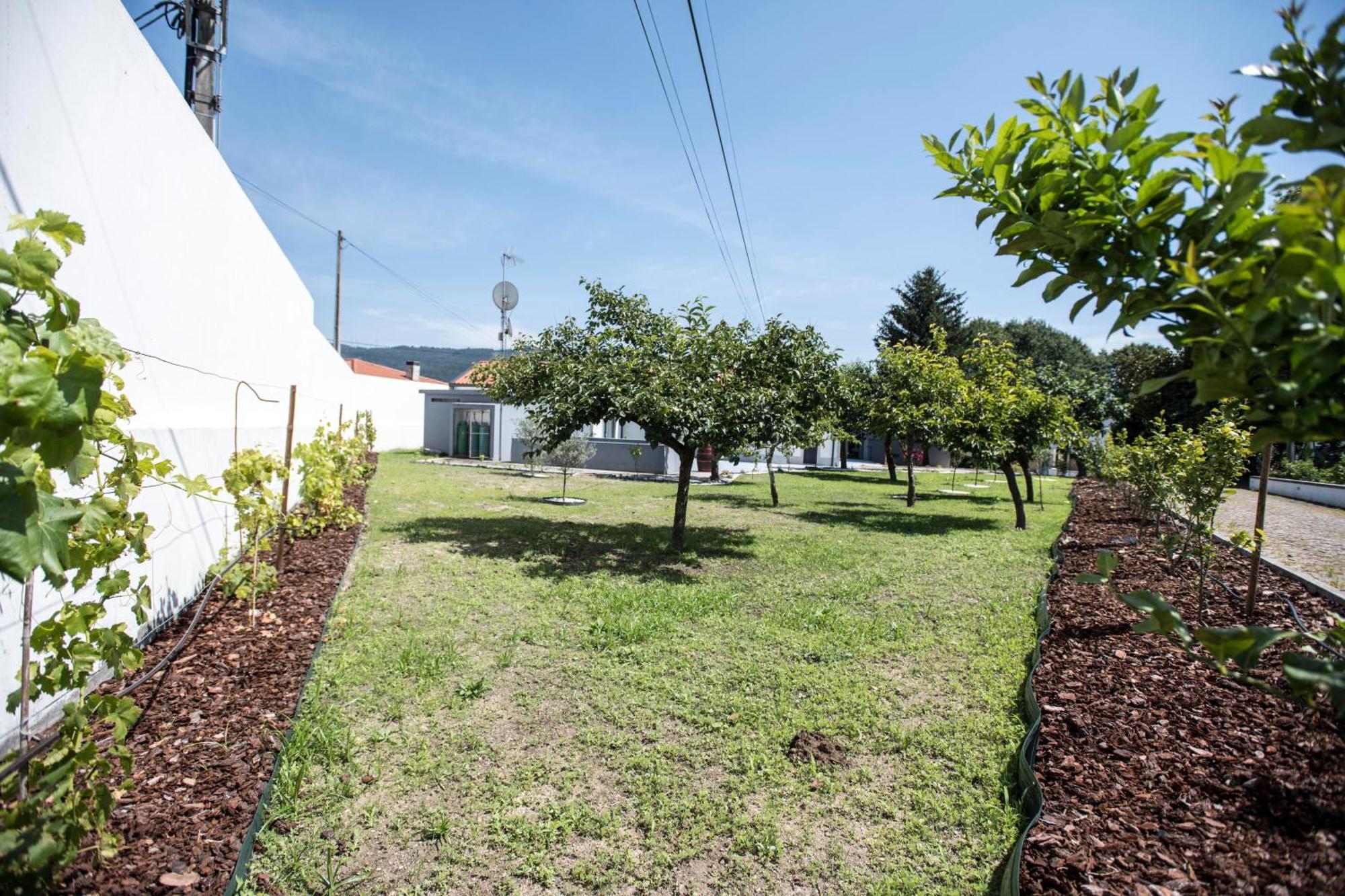 Quinta Do Pomar Pomar Farm Villa Briteiros Ngoại thất bức ảnh