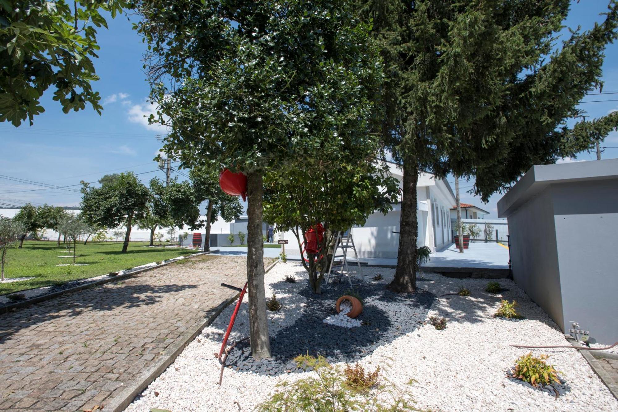 Quinta Do Pomar Pomar Farm Villa Briteiros Ngoại thất bức ảnh