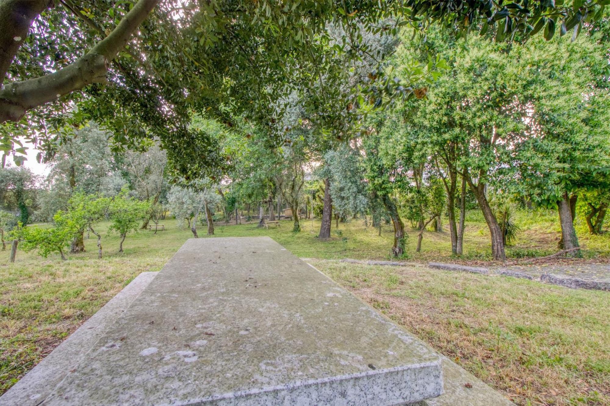 Quinta Do Pomar Pomar Farm Villa Briteiros Ngoại thất bức ảnh